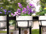 Iron Art Hanging Baskets Flower Pot Holder Over The Rail Metal Fence Planters Assemble - Pack of 3 V1370-AZ4-06344