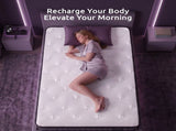 Levitex Single Mattress 2 Rows Edge Support for Deep Sleep 5-Zone Ergonomic Pocket Spring Breathable MATTRESS-F-NEX-30-S