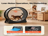 Cat Exercise Wheel, 120 cm Wooden Cat Running Wheel for Indoor Cats up to 12.7 kg, Cats Treadmill V952-MZMPBJLHSMDB3N5ZN001V0