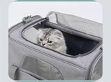 Foldable Soft-Sided Pet Carrier for Travel - Fits Cats & Small Dogs Under 6kg, with Removable Plush V888-ELOSUNG35854