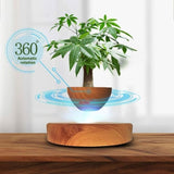 GOMINIMO Magnetic Levitating Plant Pot Oak V227-3720101000560