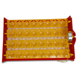 Electric 32 Egg Incubator Accessories Hatching Eggs Chicken Quail Duck V238-SUPDZ-33453428550