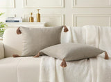 18" x 18" Decorative Throw Pillow with Inserts, Set of 2 Farmhouse Neutral Couch Throw Pillows with V1258-DP02-C-3205