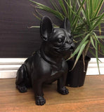 Danny French Bulldog Statue 47cm V637-E144286