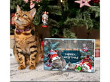 Cat Advent Calendar 2024 Christmas Countdown Calendar Xmas Gift for Kitten Toys 24Pcs V1263-JX-1332