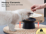 Ceramic Raised Cat Bowls, Elevated Tilted Cat Food and Water Bowls Set, Stress Free Pet Feeding Dish V1192-AZ-W-6209