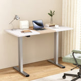 Artiss Standing Desk Electric Sit Stand Desks 120CM HASD-114G-GYDF-NWDB-120