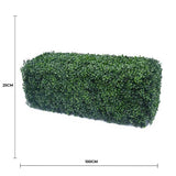 Portable Boxwood Hedge UV Resistant 25cm High 100cm Long V637-DP1157825