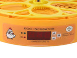 6 Egg Smart Chicken Incubators Automatic Temperature Control Small Display Hatcher Machine for V1294-YM0901-3111240103512