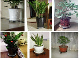 Flower Pot Roller Stand 50kg Load Capacity Rust Prevention Iron Easy to Move Plant Caddy with Wheels V1294-YM0703-3111230033711