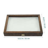 Insect Specimen Box, Wood and Acrylic, Clear Lid, Home Display, Assorted Colors, 1Set V1369-AZ3-W-15676