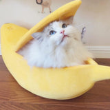 Darzheoy Banana Pet Bed, Cute Funny Fruit Bed with Removable Cushion for Dogs, Indoor Cats, Rabbits, V1189-WXFWAL-20260326-03174