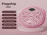 Magnetic Foot Massage & Waist Twisting DiscHome Body-Shaping Fitness Equipment, Silent Anti-Slip V1102-ZYNYP001