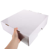 White Card Storage Box with Dividers for Sports Cards Including Basketball and Baseball Collectibles V1369-AZ3-W-13036