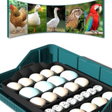 Digital Led Fully Automatic 25 Egg Incubator Hatch Turning Chicken Eggs Poultry V201-EGG0025GR8AU