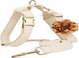 Pet Harness Leash Set Lace Embroidered Escape Resistant Adjustable White M V1263-JX-7836-2