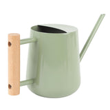 Watering Can Stainless Steel Watering Pot with Wooden Handle for Succulents Plant Type 2 V1294-YM0901-3111250034512