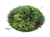 Slimline Artificial Green Wall Disc Art 100cm Grassy Fern UV Resistant V637-DP9853