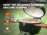 Portable Charcoal Propane Gas Grills with Cover and Cart, Heavy Duty Stainless Steel BBQ V952-TCYXLYC243700Y92IV0