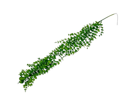 bulk 24 Artificial Eucalyptus Hanging 75x10cm V637-AFL35141