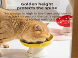 Red and Black Elevated 15&deg Tilted Ceramic Cat Bowl - Anti-Chin Acne Glaze Finish, Non-Slip Weighted V888-ELOSUNG49137
