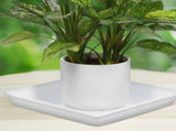 2-Pack Plastic Square Flower Pot Trays for Plants, Weather-Resistant Plant Drip Trays V1369-AZ3-W-16829