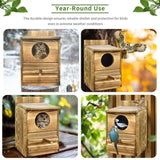 Owl Nesting Box Bird Feeder Paulownia Wood Acrylic V178-66929