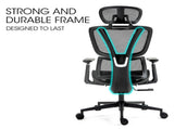 Fortia Ergonomic Office Desk Chair, Coolmesh Fabric, Adjustable Lumbar Support, Headrest, Armrest V219-OFFOCRFOE6KA