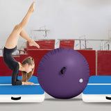 Powertrain Inflatable Air Barrel Exercise Roller 120cm x 75cm - Purple IFR-1275-PU