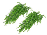 10PCS Artificial Hanging Plants Plastic Persian Fern Vines Fake Greenery Plants for Indoor Outdoor V1294-YM0901-3115240058611
