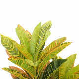 Artificial Potted Flaming Zebra 55cm V637-DP1158149