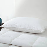 Dreamaker Luxury 50/50 Duck Down & Feather Pillow V189-9009402