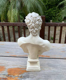 Angelo Bust Statue 26x43cm V637-E652010