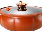 Micro Pressure Cooker Pumpkin Non Stick Multifunctional Soup Pot Gas Stove Universal Kitchen Tool V1294-YM0703-3118230059411