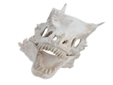 Latex Simulation Dinosaur Skull Mask Head Cover Halloween Costume Party Cosplay Props Decoration V1294-YM0714-3115210172811
