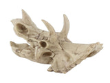 Resin Dinosaur Triceratops Skull Model Simulated Skeleton Home Office Display Decorative Craft V1294-YM0901-JY06511