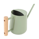 Watering Can Stainless Steel Watering Pot with Wooden Handle for Succulents Plant Type 2 V1294-YM0901-3111250034512