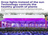 Grow Lights for Indoor Plants Full Spectrum 216 LEDs 3 Modes Large Coverage for Plant Growth V1294-YM0901-H48458US