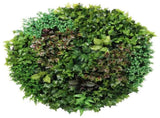 Artificial Green Wall Disc Art 150cm Dense Green Sensation V637-DP1013972W