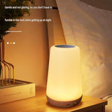 2-piece Bedroom Atmosphere Bundle White RGB Rechargeable LED Night Light Vintage Camping Style V888-ELOSUNG53476