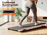 Everfit 3 in 1 Walking Pad Treadmill 20% Auto Incline Under Desk Foldable Treadmills for Home With TMILL-400H-AINC-PK