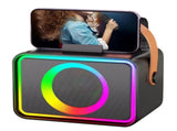 Mini Karaoke Machine Portable Bluetooth Speaker with 2 Wireless Mic V1263-JX-6961