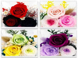 4pcs Valley of Rain & Forest Long-Lasting Real Flowers, Handcrafted Preserved Rose Bush For you to V1192-AZ-W-3709
