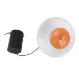 Mini Pendant Ceiling Light LED Modern Pendant Light Fixtures Height Adjustable for Bedroom Kitchen V1294-YM0901-3119230221411