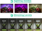 Angel Halo Ring LED Plant Grow Light, Full Spectrum Warm White & Red Blue for Succulents, Flowers, V1341-ZY-DVK5MMNN-3PCS-F