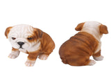 English Bulldog Puppy Statue Lifelike Resin Bulldog Sculpture for Garden Lawn Porch Decoration V1294-YM0703-3111230093412