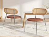 Artiss 2x Dining Chairs PU Leather Rattan Kitchen Lounge Cafe Accent Chair Brown DINC-B-S06-BRX2