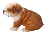 English Bulldog Puppy Statue Lifelike Resin Bulldog Sculpture for Garden Lawn Porch Decoration V1294-YM0703-3111230093412