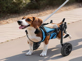 Dog Wheelchair for Back Legs, Adjustable 2 Wheels Pet Wheelchair, Lightweight Dog Cart with V952-CWLYLLSXHSLLCWMCK001V0
