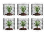 6 Pack Plant Protector from Animals, 320mm Dia. x 355mm H Chicken Wire Plant Protector, Plant Cages V952-QBWZCL14YCHS4N9UIV0